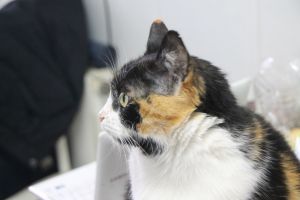 Zulema Bild von Zulema