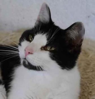 Blacky Bild von Blacky
