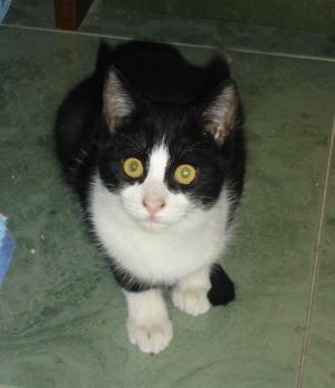Bibo Bild von Bibo