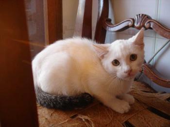 Blanca Bild von Blanca