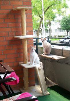 Pascha Bild von Pascha