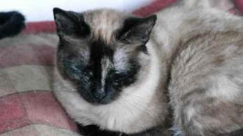 Tina Bild von Tina