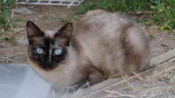 Tina Bild von Tina
