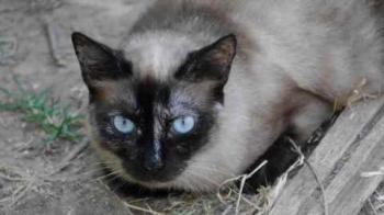 Tina Bild von Tina