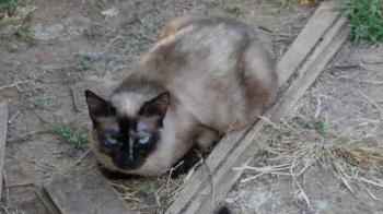 Tina Bild von Tina
