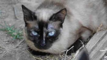 Tina Bild von Tina