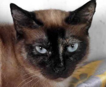 Tina Bild von Tina