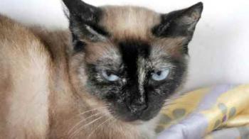 Tina Bild von Tina