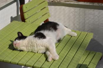 Timo Bild von Timo