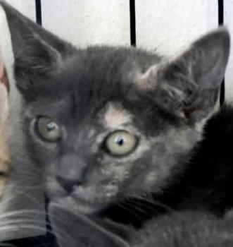 Bild von Afra