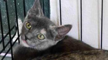 Bild von Afra