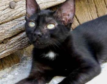 Bild von Flo