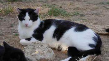 Rocky Bild von Rocky