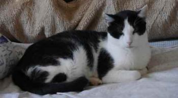 Rocky Bild von Rocky