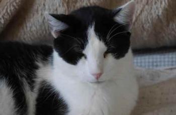 Rocky Bild von Rocky