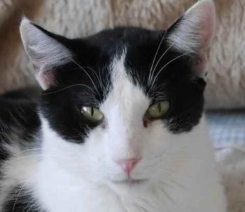 Rocky Bild von Rocky