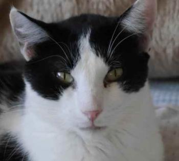Rocky Bild von Rocky