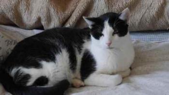 Rocky Bild von Rocky