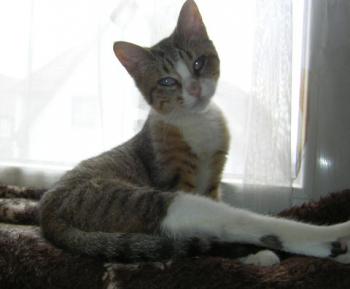 Lucita Bild von Lucita