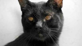 Coco Bild von Coco