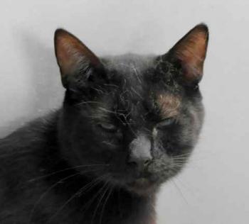 Coco Bild von Coco