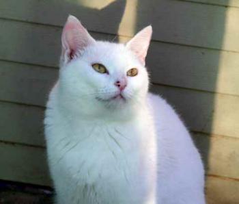 Nieves Bild von Nieves