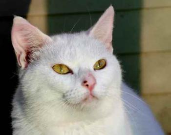 Nieves Bild von Nieves