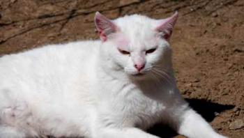 Nieves Bild von Nieves