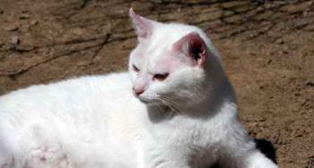 Nieves Bild von Nieves