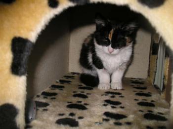 Bild von Melly