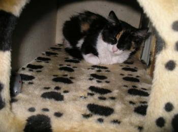 Bild von Melly