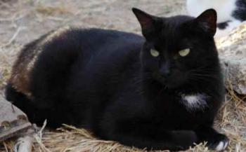 Bild von Sally