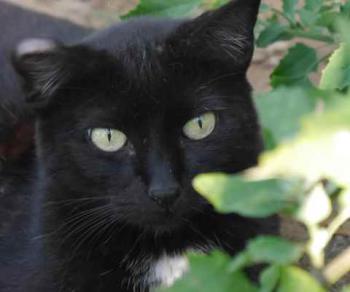 Bild von Sally