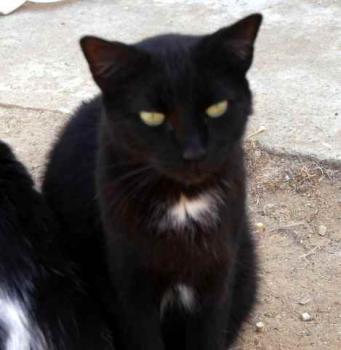 Bild von Sally