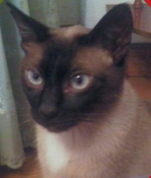 Bild von Fernandito