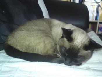 Mila Bild von Mila