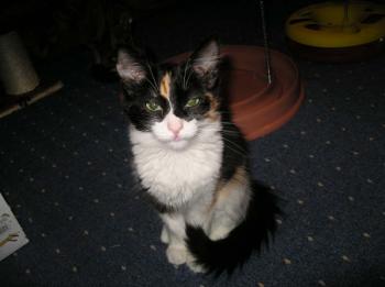 Bild von Melly