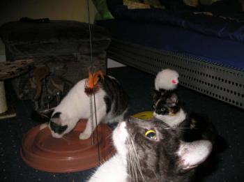 Bild von Melly