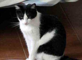 Bild von Fenja