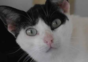 Joy Bild von Joy