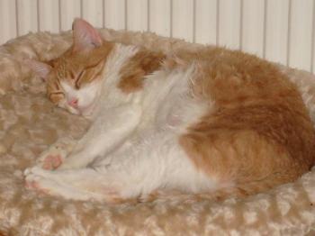 Ginny Bild von Gene