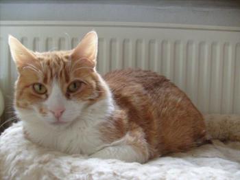 Ginny Bild von Gene