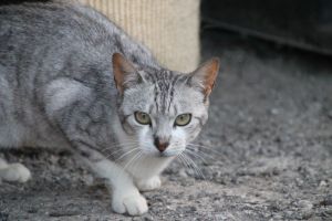 Olimpia Bild von Olimpia