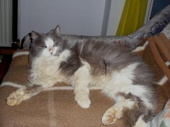 Zeus Bild von Zeus