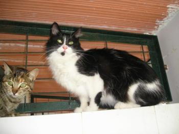 Ohne Bild von Lavinia - Silke