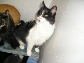 Ohne Bild von Lavinia - Silke