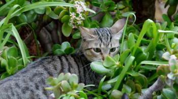 Liese Bild von Liese