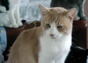 Canelito Bild von Canelito