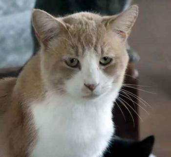 Canelito Bild von Canelito