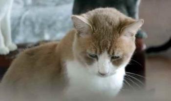 Canelito Bild von Canelito